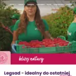 Zrzut ekranu strony głównej firmy prezentujący pracowników, wdrożonej jako profesjonalne strony internetowe w sektorze przemysłowym przez AMETI.