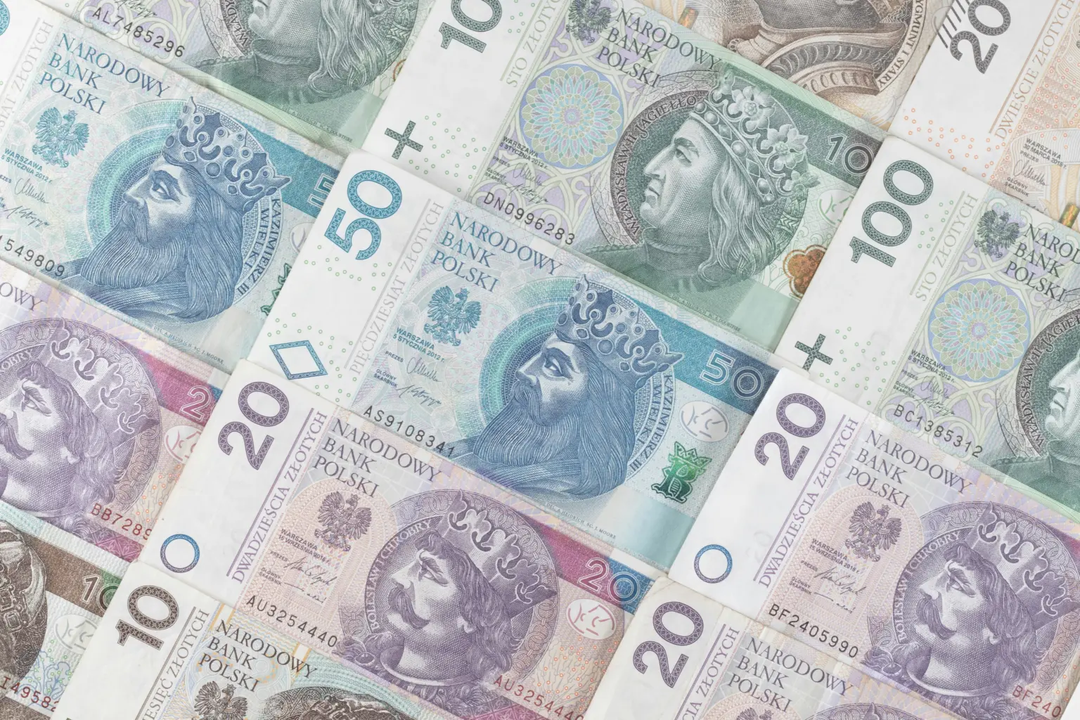 Polskie banknoty symbolizujące koszty związane z tworzenie stron internetowych.